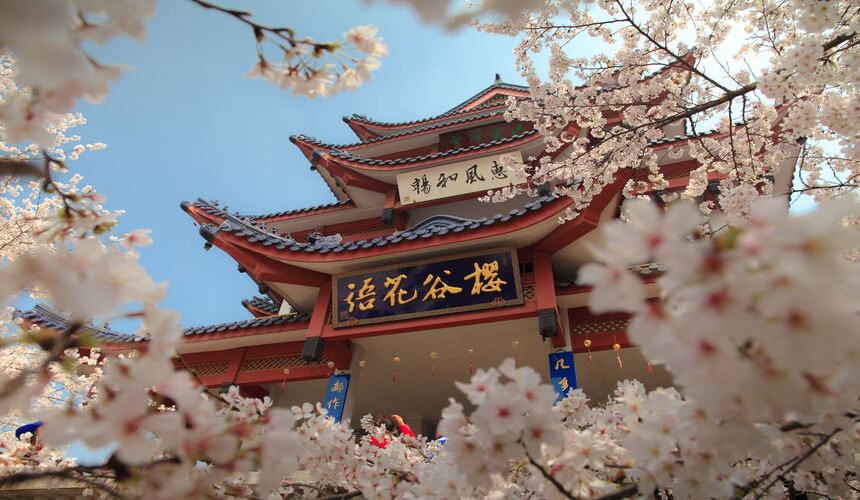 Beijing Spring Day Tour with Cherry Blossoms